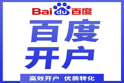 百度竞价广告的投放策略与成功案例分析